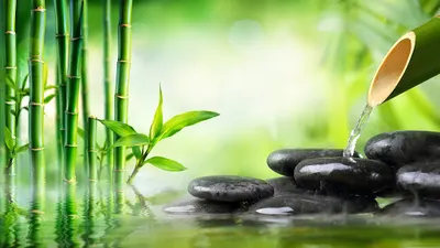 Centrum Rehabilitacji i Odnowy Biologicznej Naturalmed Marek Żurek